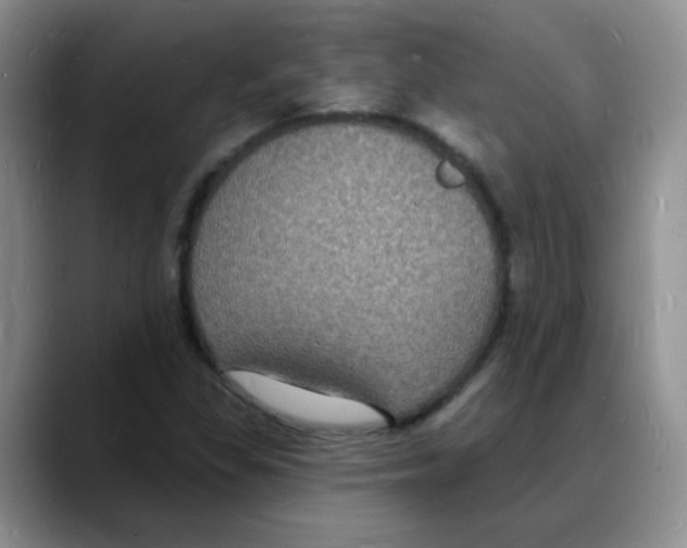 X0000088081309200706081721