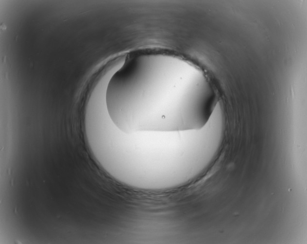 X0000088081310200706081721