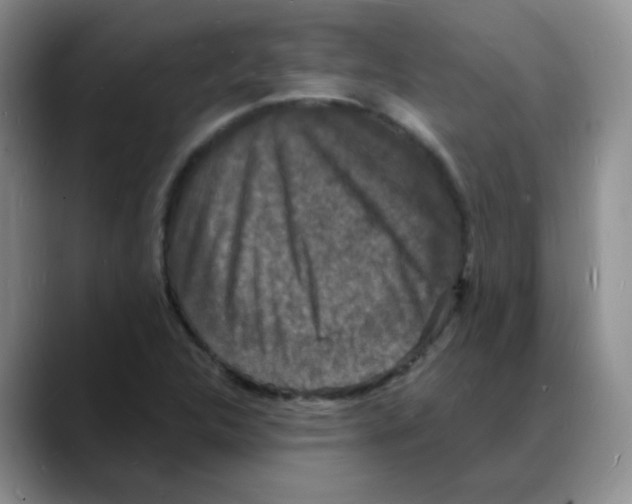 X0000088081312200706081721