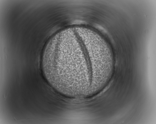 X0000088081313200706081721