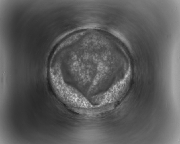 X0000088081316200706081722