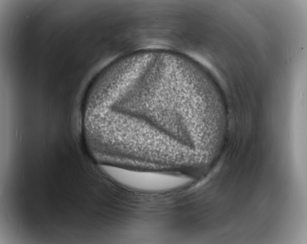 X0000088081317200706081722