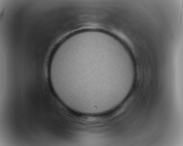 X0000088081318200706081722