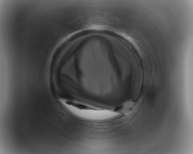 X0000088081319200706081722