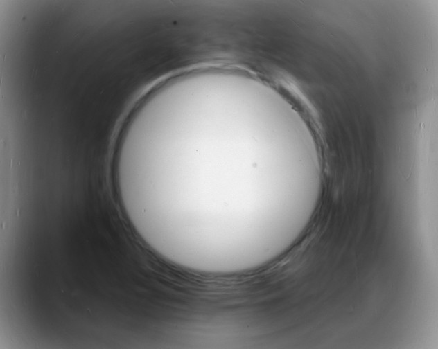 X0000088081320200706081722