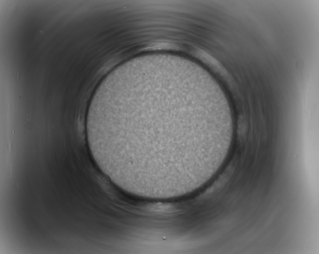 X0000088081321200706081722