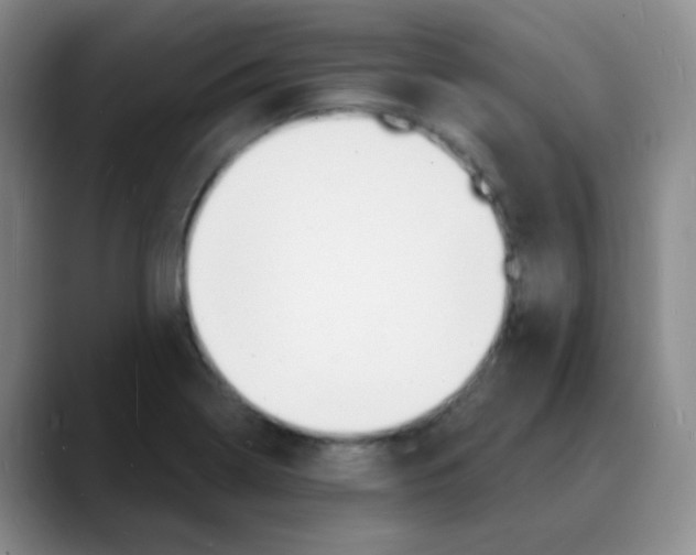 X0000088081322200706081722