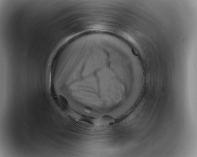 X0000088081323200706081722