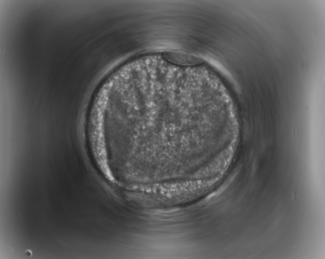 X0000088081325200706081722