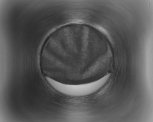X0000088081326200706081722