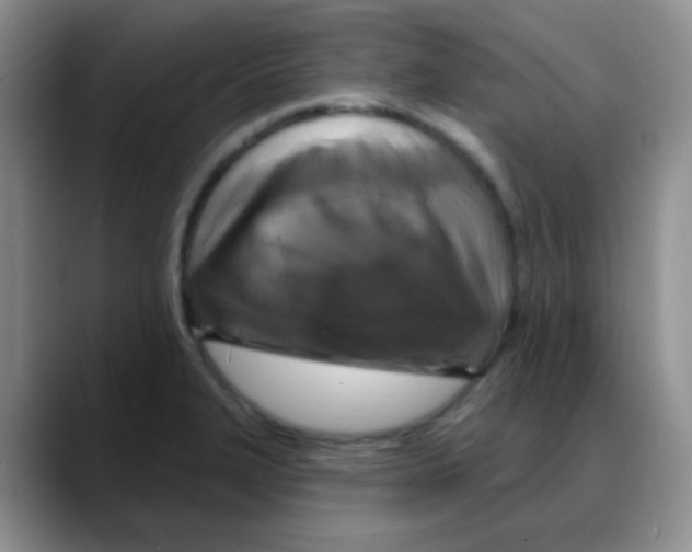 X0000088081327200706081722