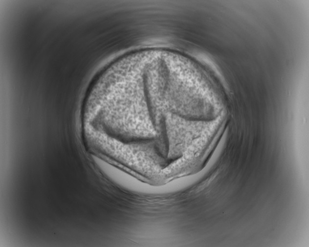 X0000088081328200706081722