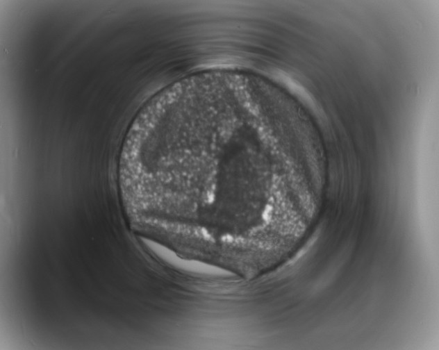 X0000088081329200706081722