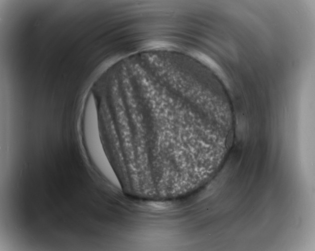 X0000088081330200706081722