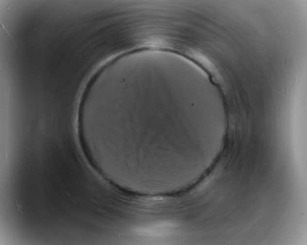 X0000088081331200706081722