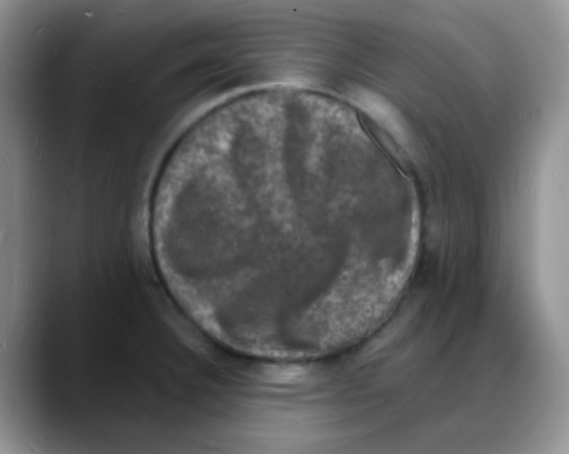 X0000088081332200706081722