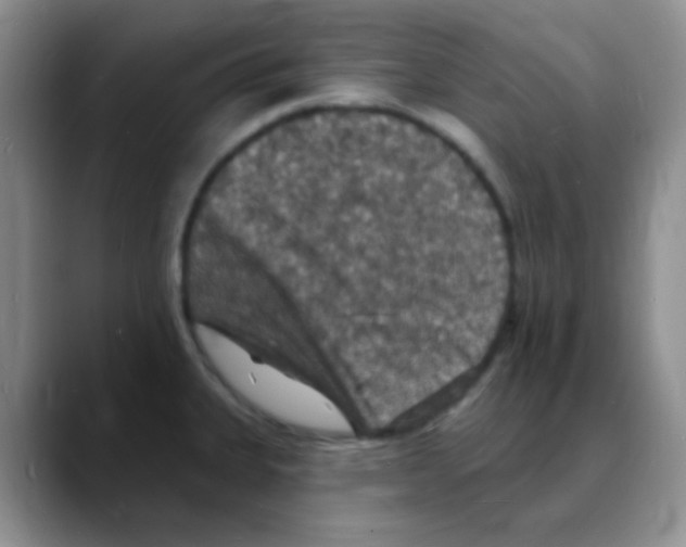 X0000088081335200706081722