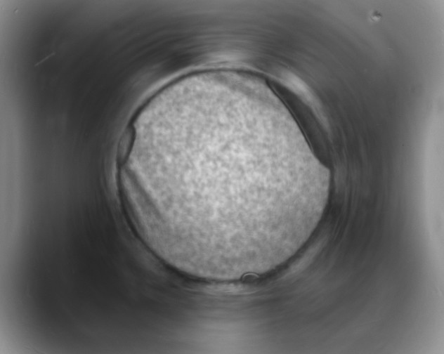 X0000088081336200706081722