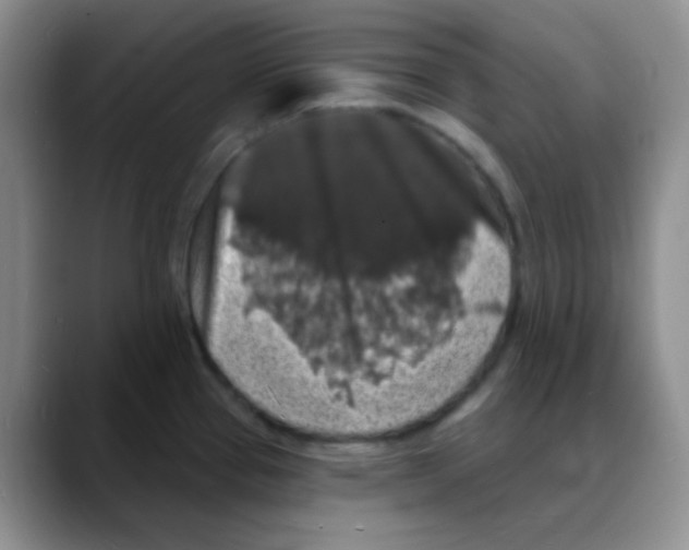 X0000088081337200706081722