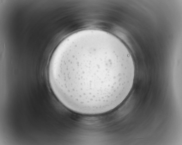 X0000088081338200706081722