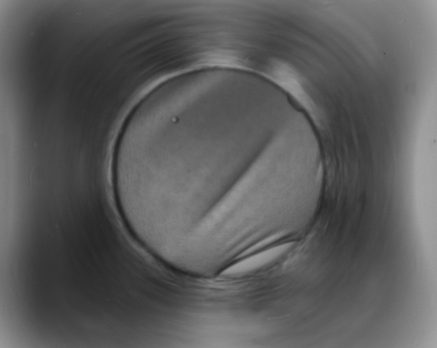X0000088081339200706081722