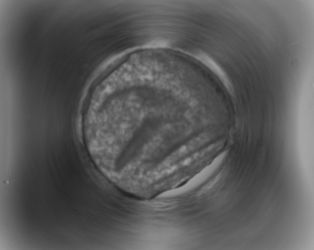 X0000088081340200706081722