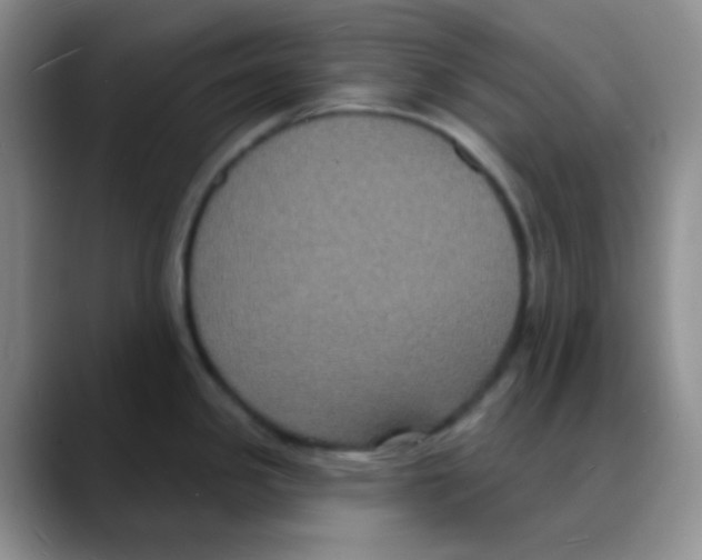 X0000088081341200706081722
