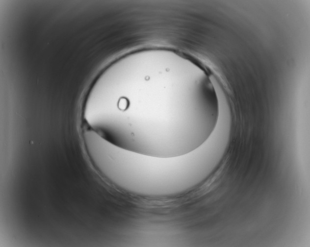 X0000088081342200706081722