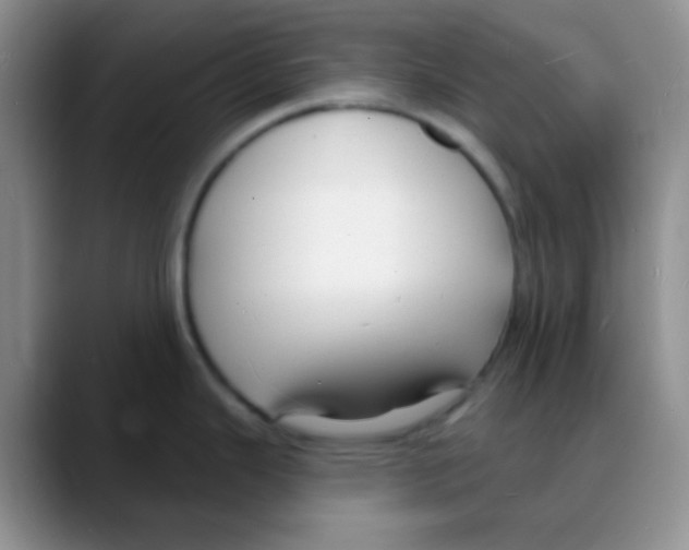 X0000088081343200706081722
