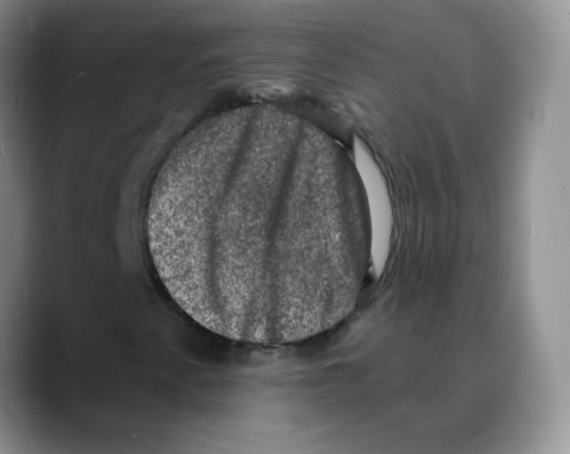 X0000088081345200706081721