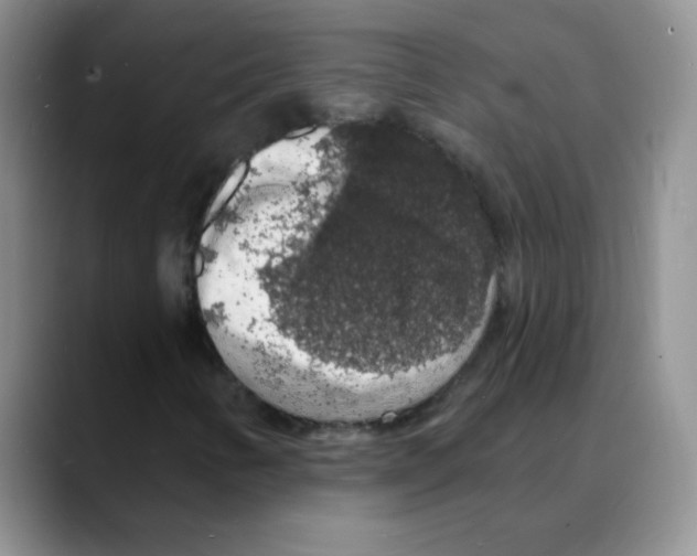 X0000088081346200706081721