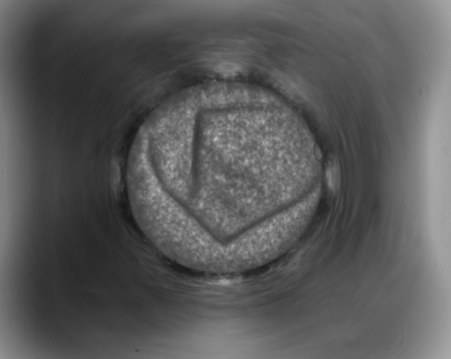 X0000088081347200706081721