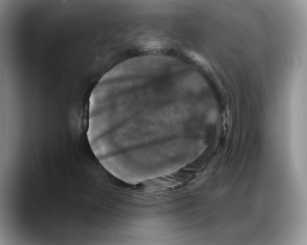 X0000088081348200706081721