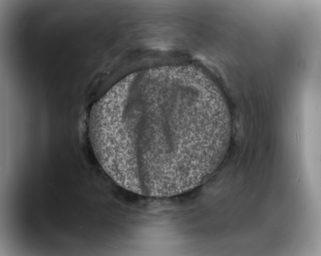 X0000088081349200706081721