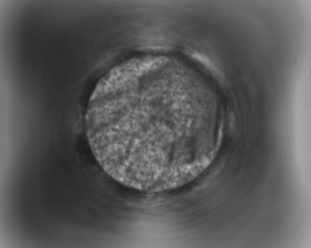 X0000088081350200706081721