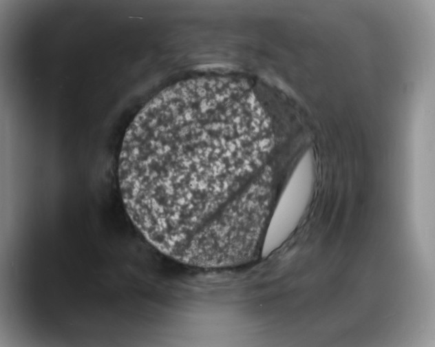 X0000088081351200706081721