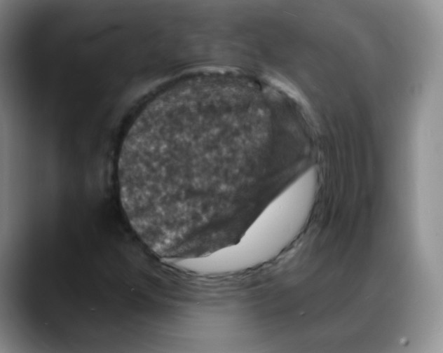 X0000088081352200706081721