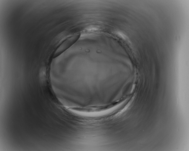 X0000088081353200706081721