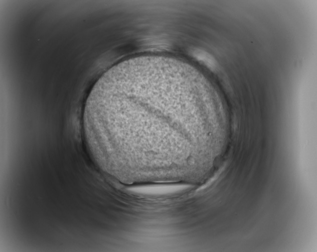 X0000088081354200706081721