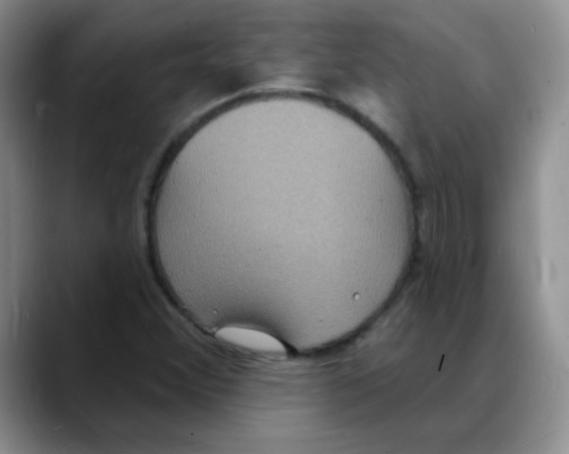 X0000088081356200706081721