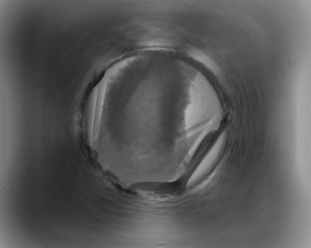 X0000088081357200706081721