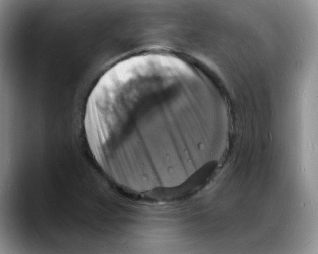 X0000088081359200706081721