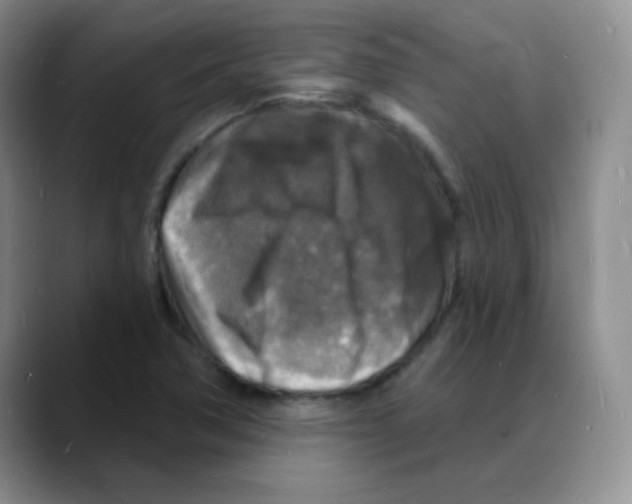 X0000088081362200706081721
