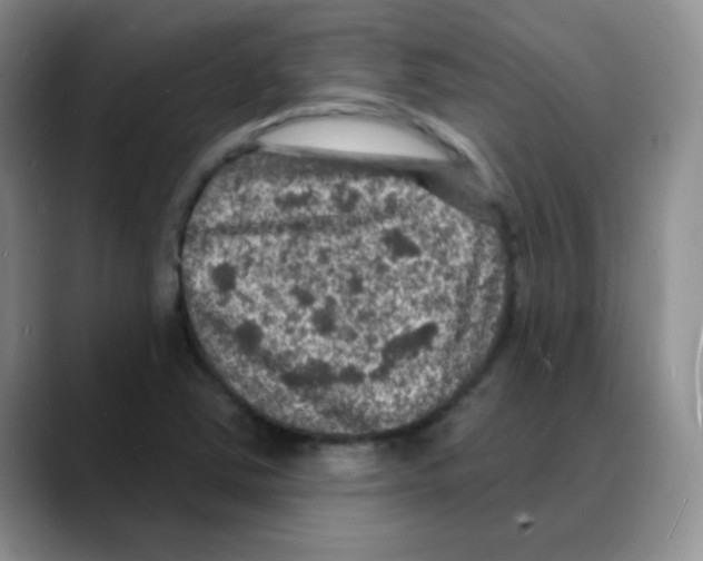 X0000088081363200706081721