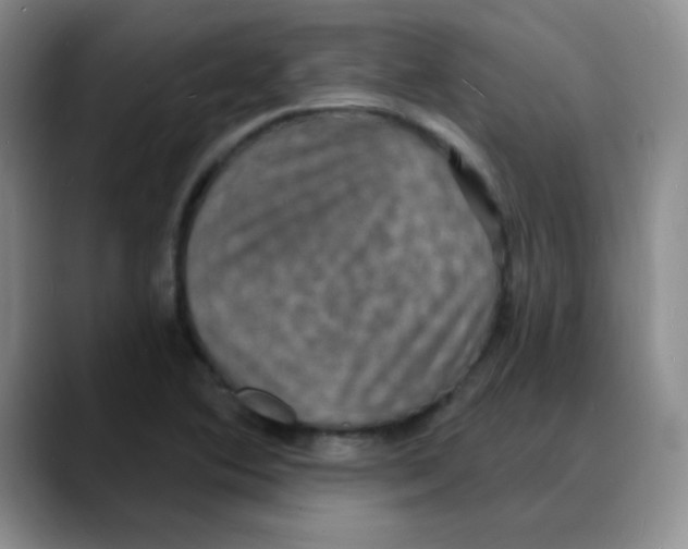X0000088081364200706081721