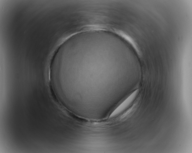 X0000088081365200706081721