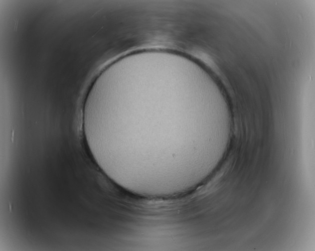 X0000088081366200706081721