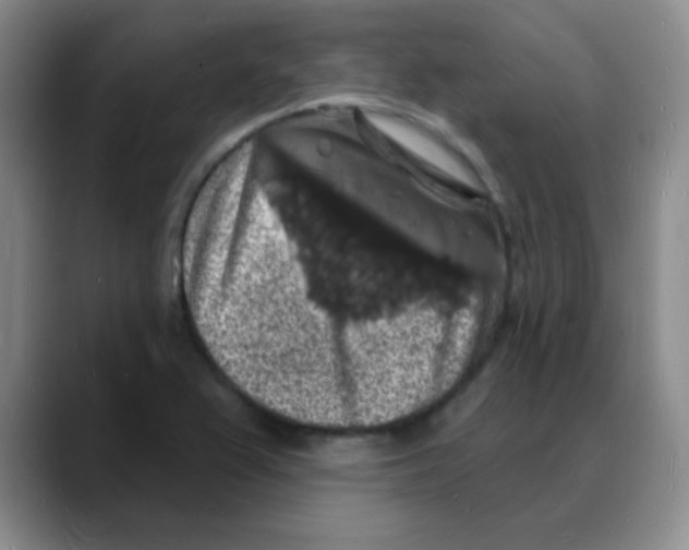 X0000088081367200706081721