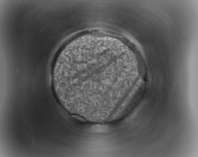 X0000088081368200706081721
