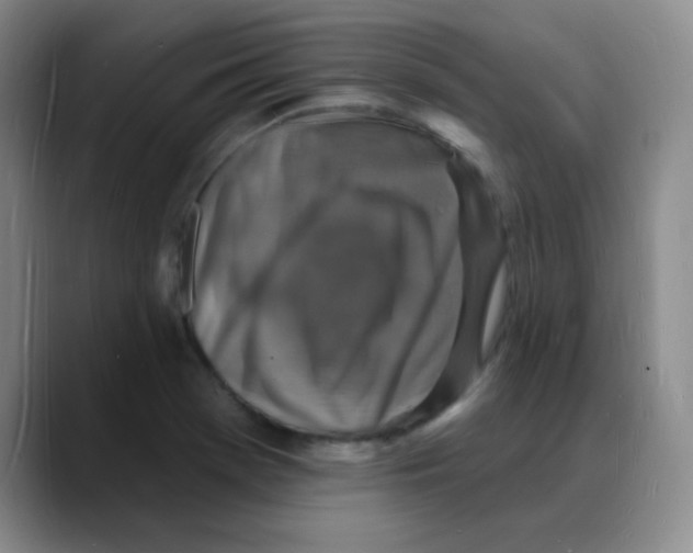X0000088081369200706081721